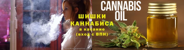 спиды Богородск