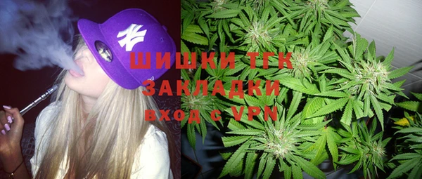 спиды Богородск