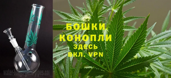 спиды Богородск