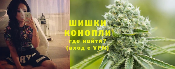 спиды Богородск
