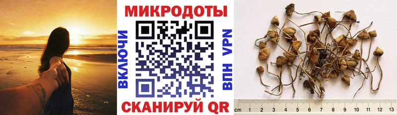 гидра как зайти  Вышний Волочёк  Галлюциногенные грибы MAGIC MUSHROOMS 